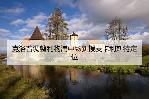 ke-luo-pu-tiao-zheng-li-wu-pu-zhong-chang-xin-yuan-mai-ka-li-si-te-ding-wei-2-836.jpg